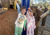 School News Banner Photo