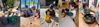 Early Education Banner Photo
