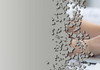 Commerce News Banner Photo