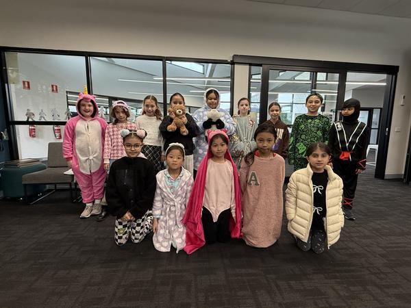 JSC - Crazy Dress Up Day Banner Photo