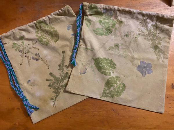 Cassia 1 & 2 News Banner Photo