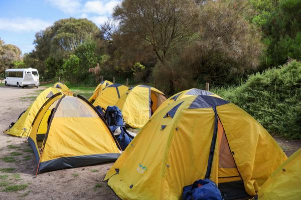 Camps, Sports, and Excursions Fund (CSEF) Banner Photo