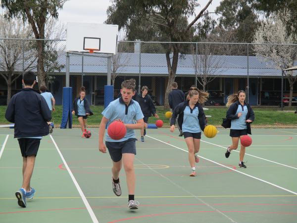 PDHPE Department Banner Photo