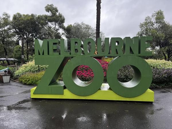 1/2 Excursion to Melbourne Zoo Banner Photo