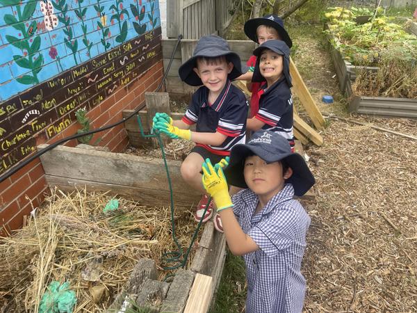 What's On In 1/2 Banner Photo