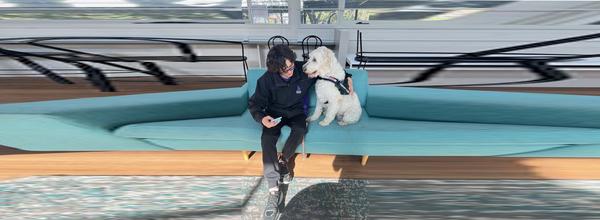 Canine Therapy Banner Photo