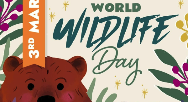 Team Kids News Banner Photo