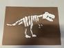 Grade 3 | Blackwood Banner Photo