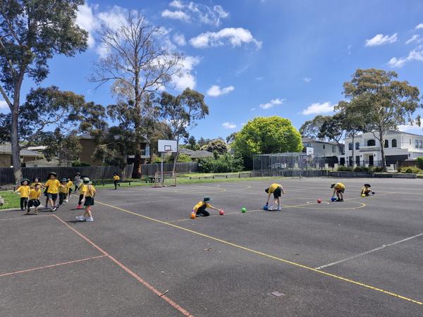 Buddies Day - Term 4 Banner Photo