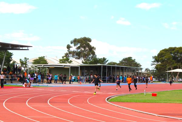 Athletics Carnival Banner Photo