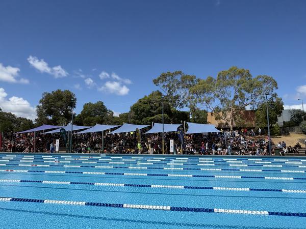 Swimming Carnival 2026 Banner Photo