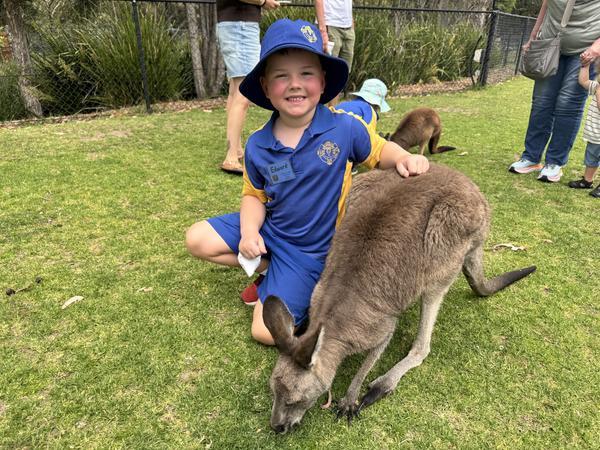 Assistant Principal's News Banner Photo