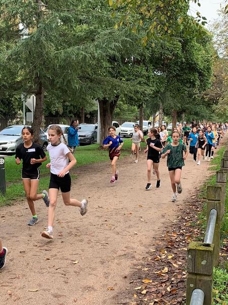 District Cross Country Banner Photo