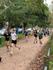 District Cross Country Banner Photo