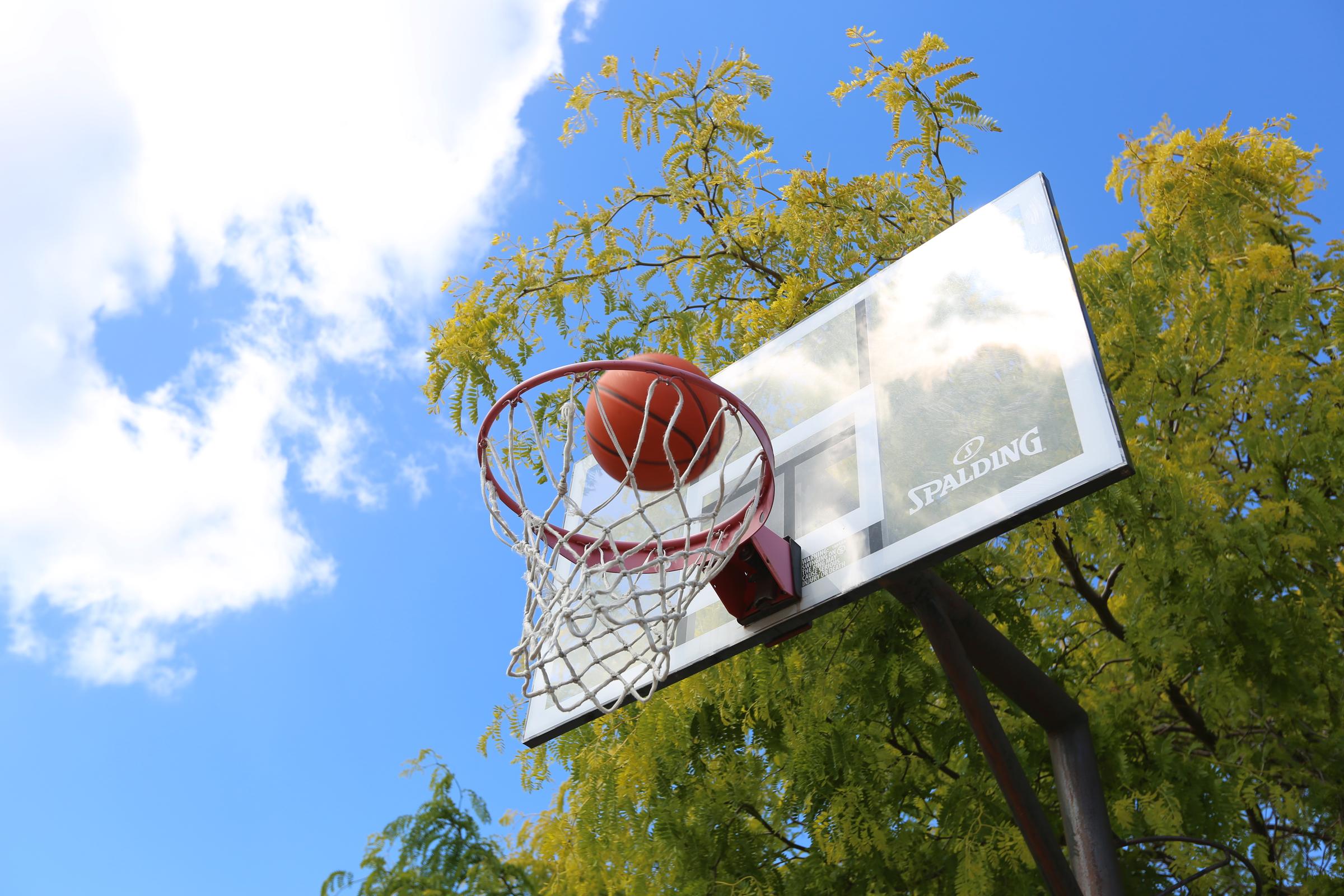 Banner Photo