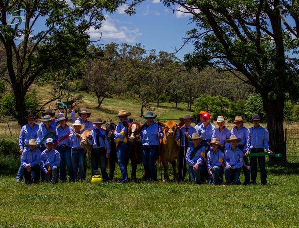 Northern Schools Steer Comp Banner Photo