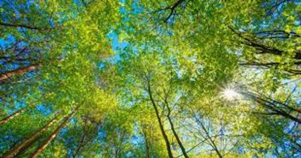 Wellbeing Banner Photo