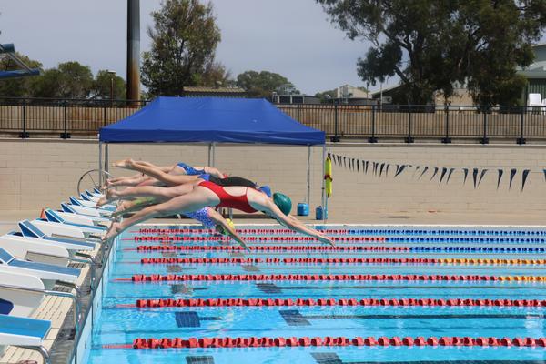 Health & Physical Education Banner Photo