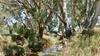 Middle Gully Grant Success Banner Photo