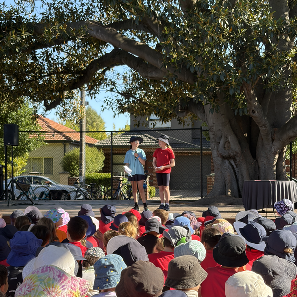 Year 6 Spotlight Banner Photo