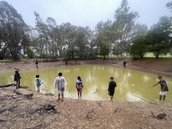 From the Boarding Houses Banner Photo