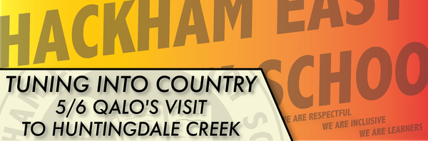 TUNING INTO COUNTRY Banner Photo