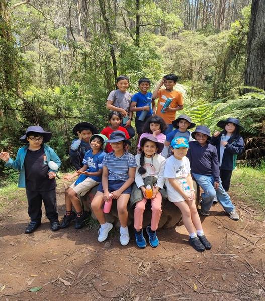 Year 3 Camp Toolangi Banner Photo