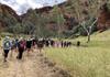 YEAR 10 CENTRAL AUSTRALIA CAMP Banner Photo