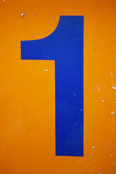 Year One Spotlight on Learning Banner Photo