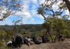 Duke of Edinburgh Award Banner Photo