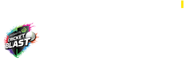Woolworths Cricket Blast Banner Photo
