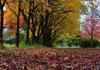 Community Information Banner Photo
