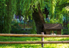 Year 7 Excursion Banner Photo