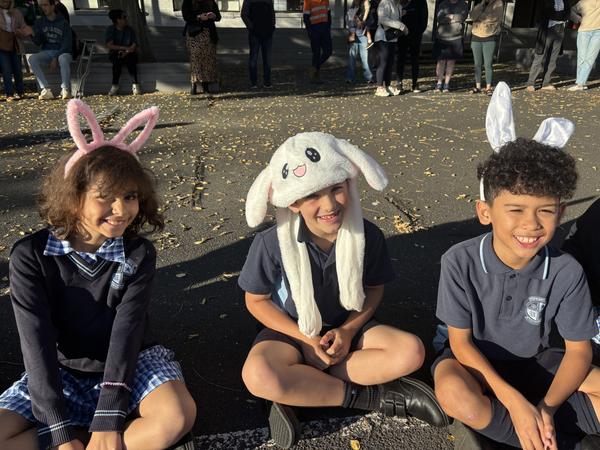 Organisation Banner Photo