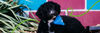 Wellbeing: Social Media Restrictions Update Banner Photo