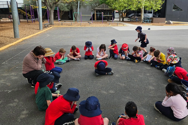 Focus on French Banner Photo