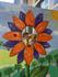 Garden Club Banner Photo