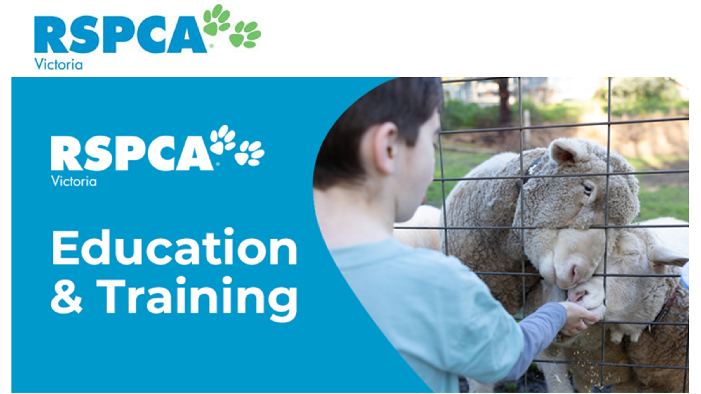 RSPCA Short Courses Banner Photo