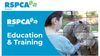 RSPCA Short Courses Banner Photo
