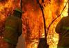 BUSHFIRE PREVENTION & TIPS Banner Photo