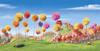 Year 1/2's Banner Photo