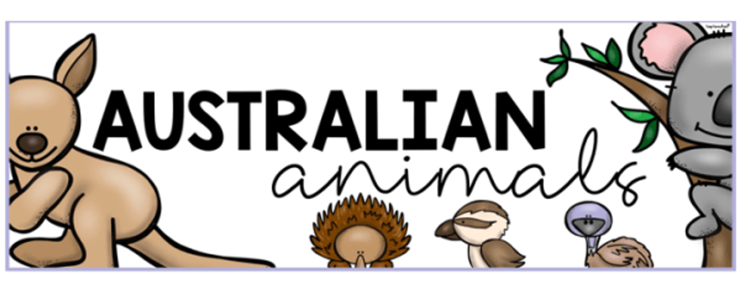 Banner Photo