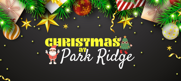 Christmas News Banner Photo