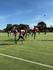 Year 8 News   Banner Photo