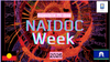 NAIDOC WEEK at APS Banner Photo