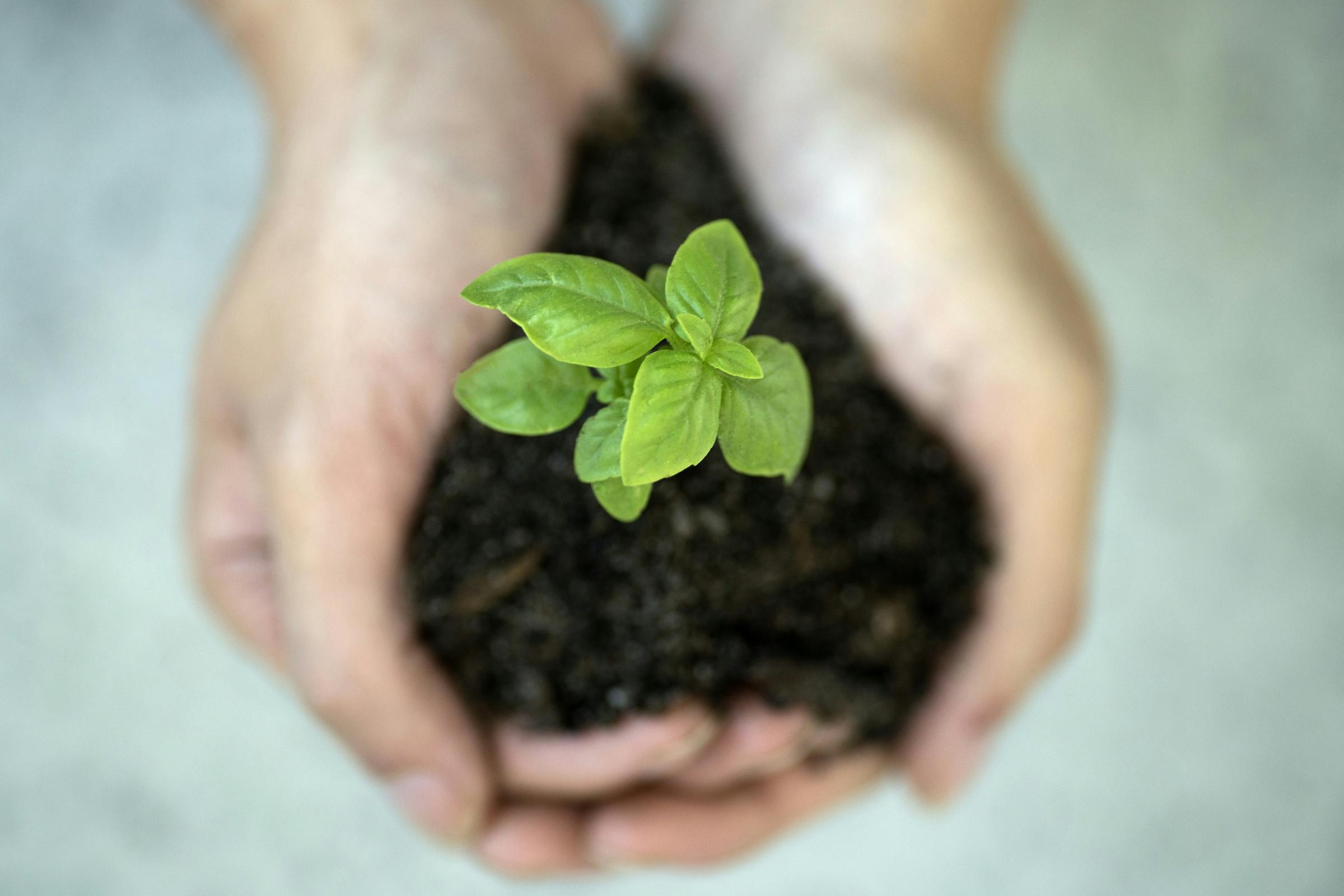 Sustainability  Banner Photo