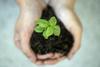 Sustainability  Banner Photo