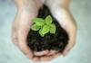 Sustainability Banner Photo