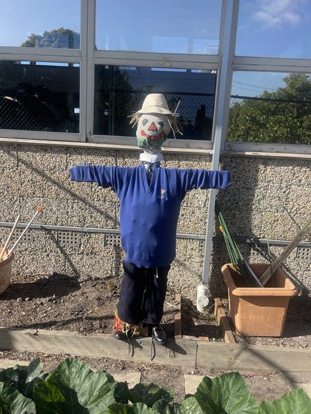 Assistant Principal (9/10) Report  Banner Photo