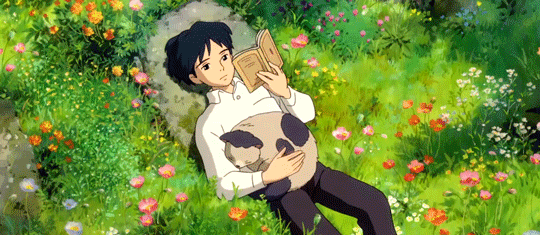 Library  Banner Photo